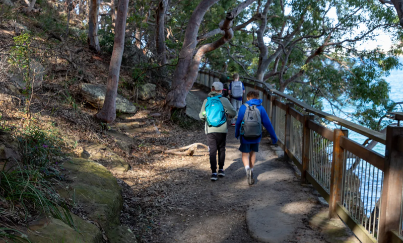 Beginner-Friendly Hiking Trails in Sydney, NSW, Australia