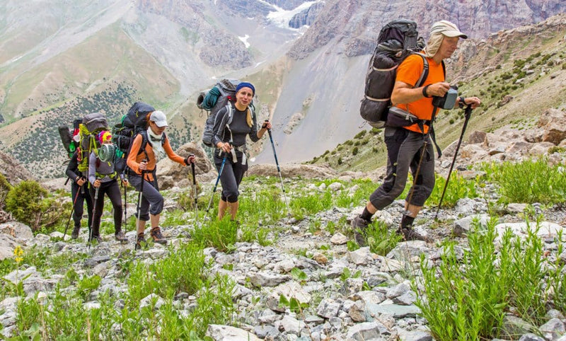 The Importance of Using Trekking Poles in Hiking: Aluminium vs. Carbon Fiber