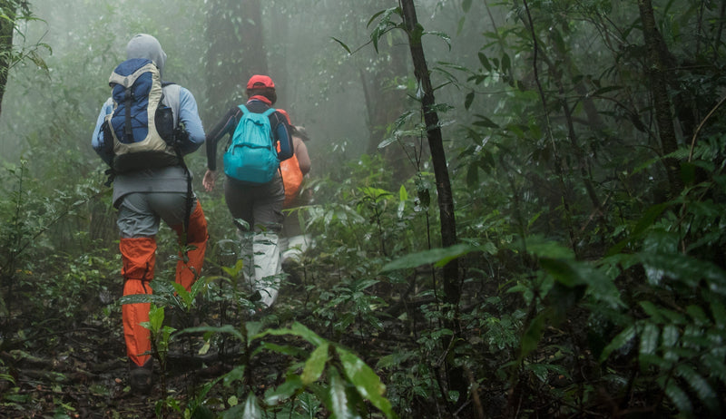 Trekking vs. Hiking: What’s the Real Difference?