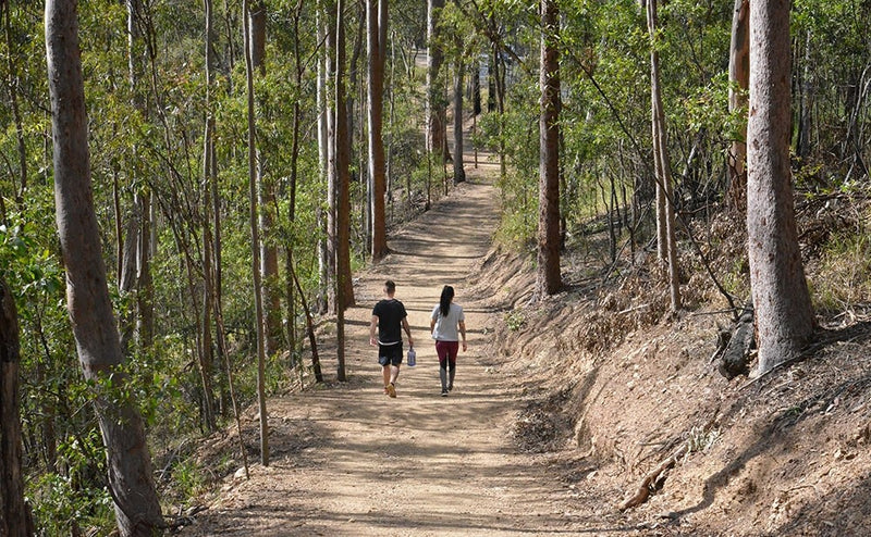 Beginner-Friendly Hiking Trails in Brisbane, QLD, Australia