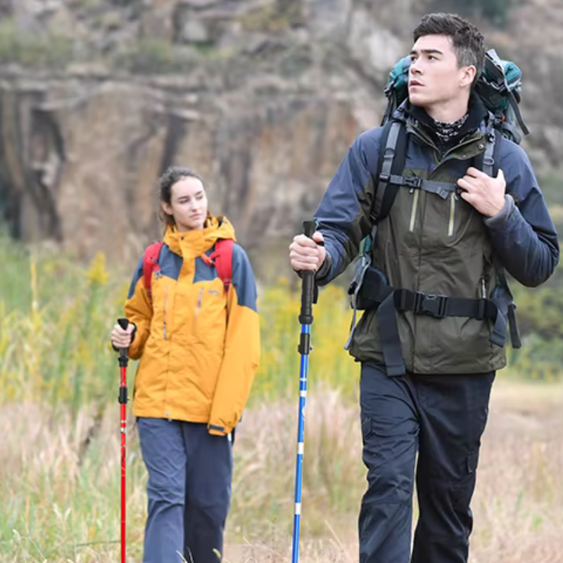 2Pcs Ultralight Folding Trekking Poles