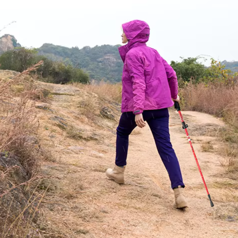 2Pcs Ultralight Folding Trekking Poles