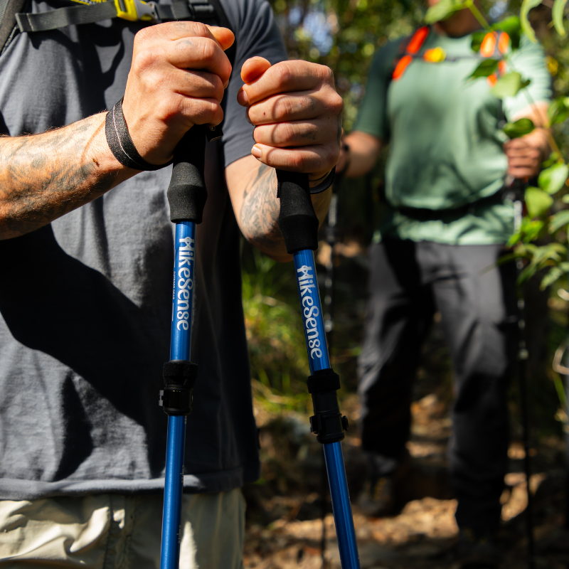 Hikesense Collapsible Trekking Pole