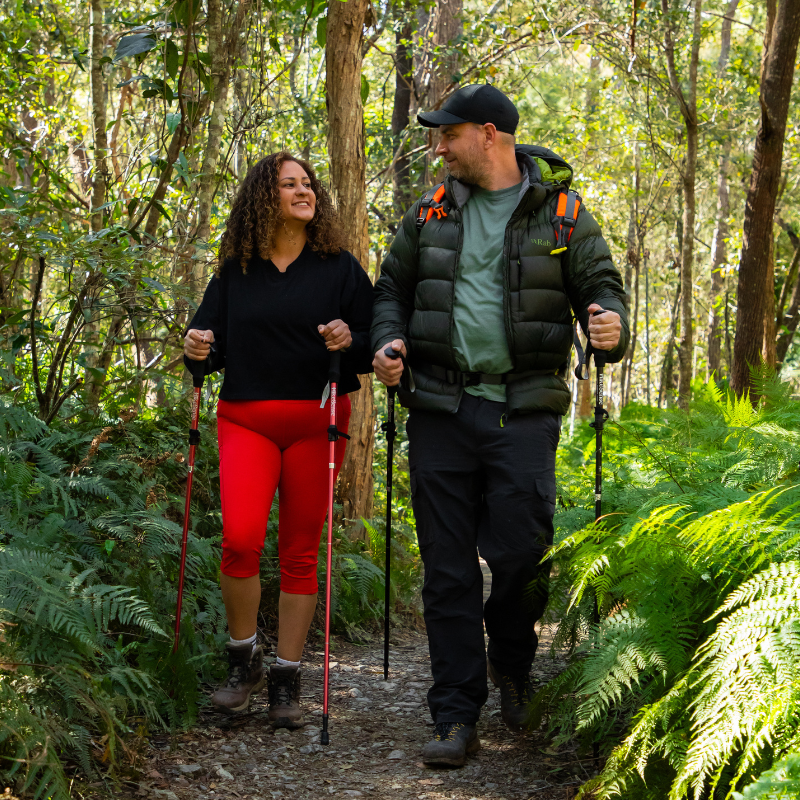 Hikesense Collapsible Trekking Pole
