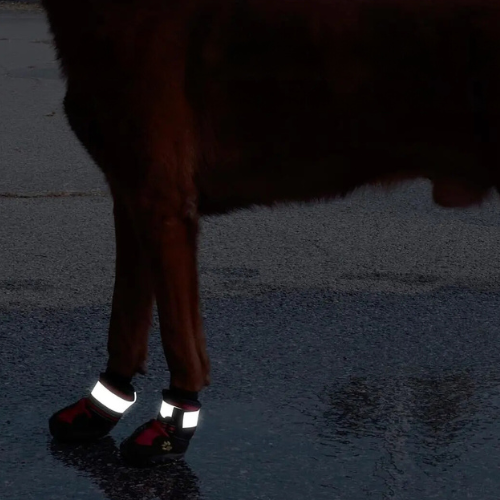 Waterproof Dog Boots with Anti-Slip Socks and Reflective Straps