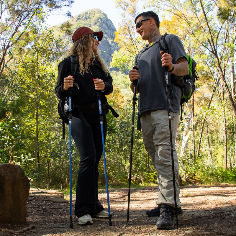 Hikesense Collapsible Trekking Pole