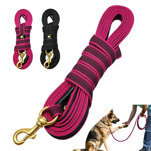 Durable Long Leash for Medium and Large Dogs