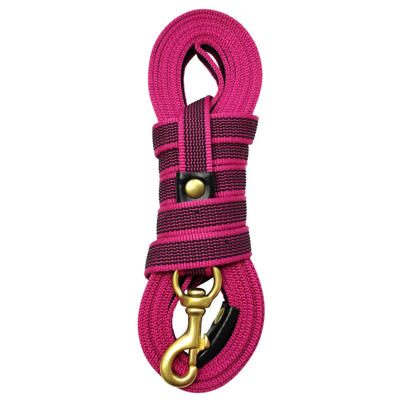 Durable Long Leash for Medium and Large Dogs