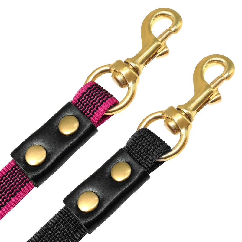 Durable Long Leash for Medium and Large Dogs