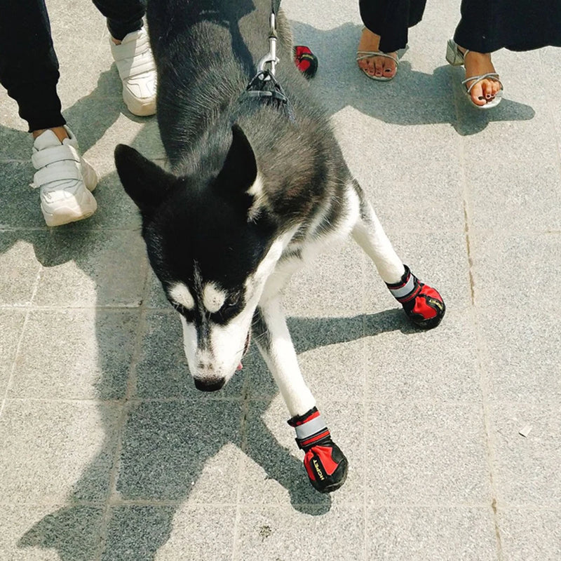 Reflective Waterproof Dog Boots