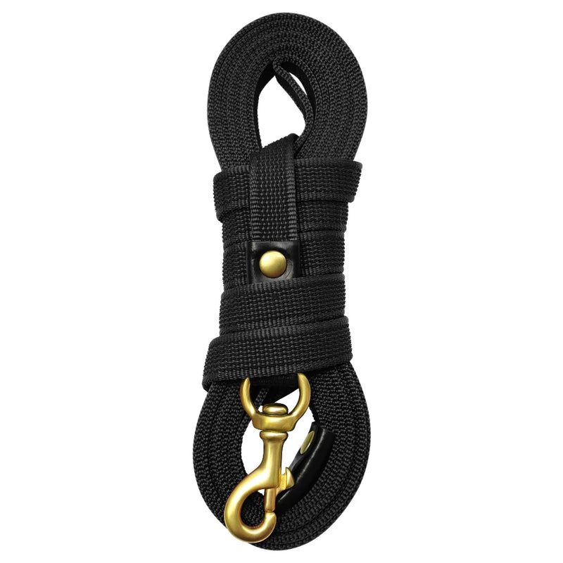 Durable Long Leash for Medium and Large Dogs