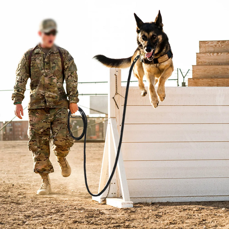 Durable Long Leash for Medium and Large Dogs