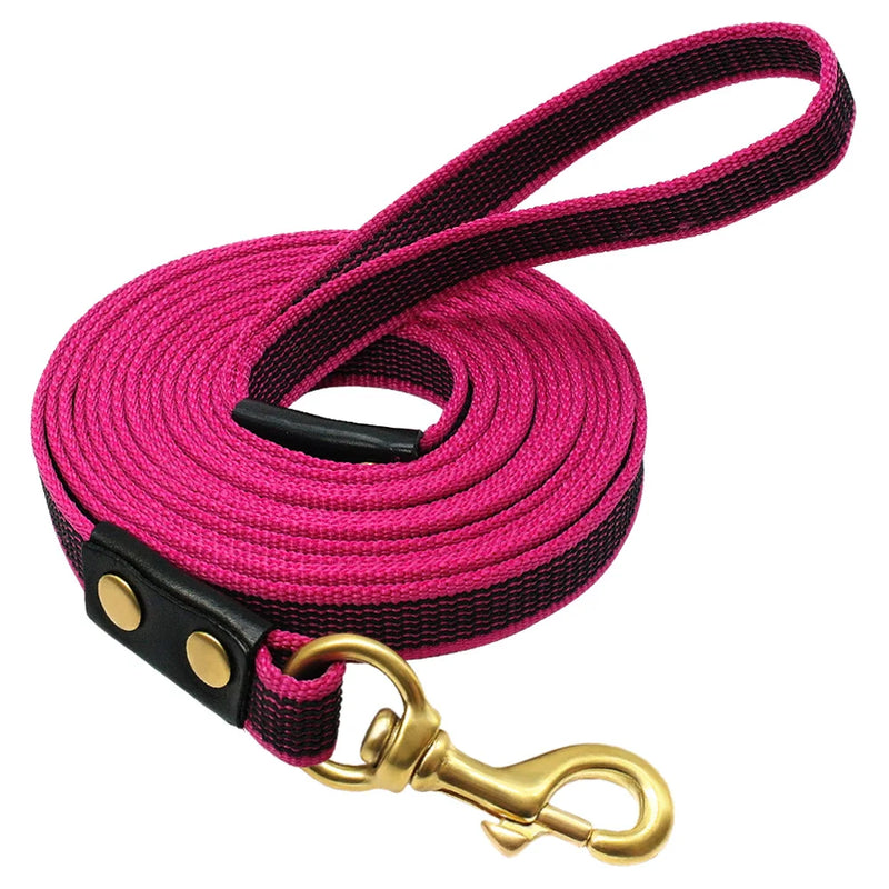 Durable Long Leash for Medium and Large Dogs