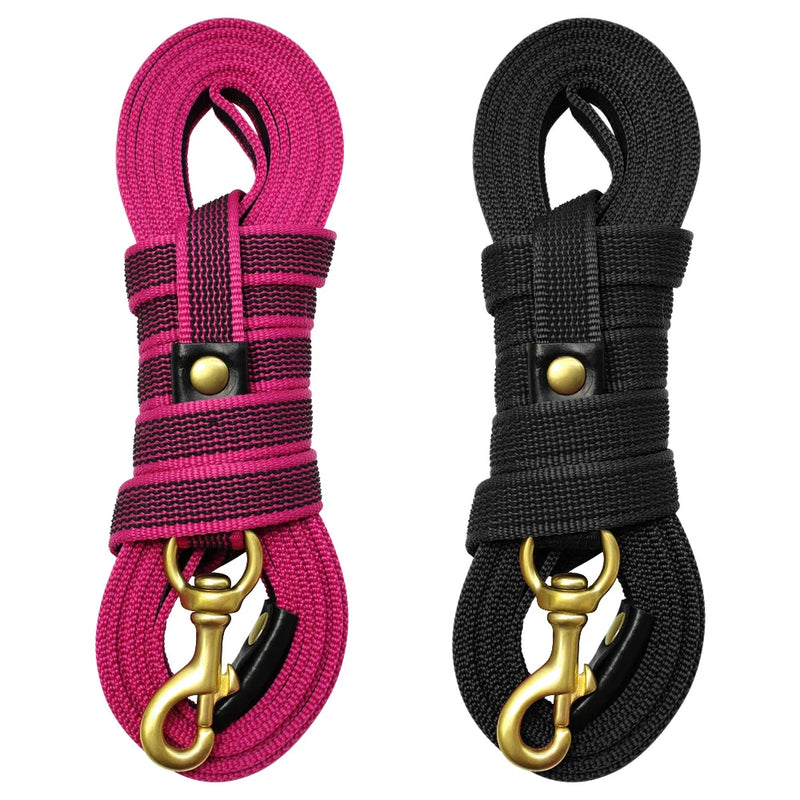 Durable Long Leash for Medium and Large Dogs