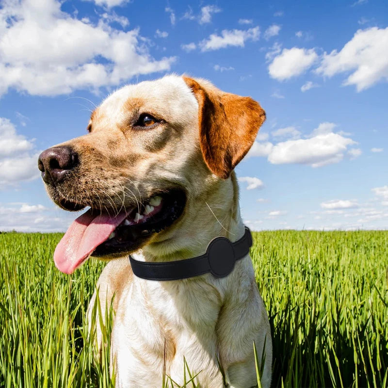 Leather Adjustable Pet Collar with AirTag Holder