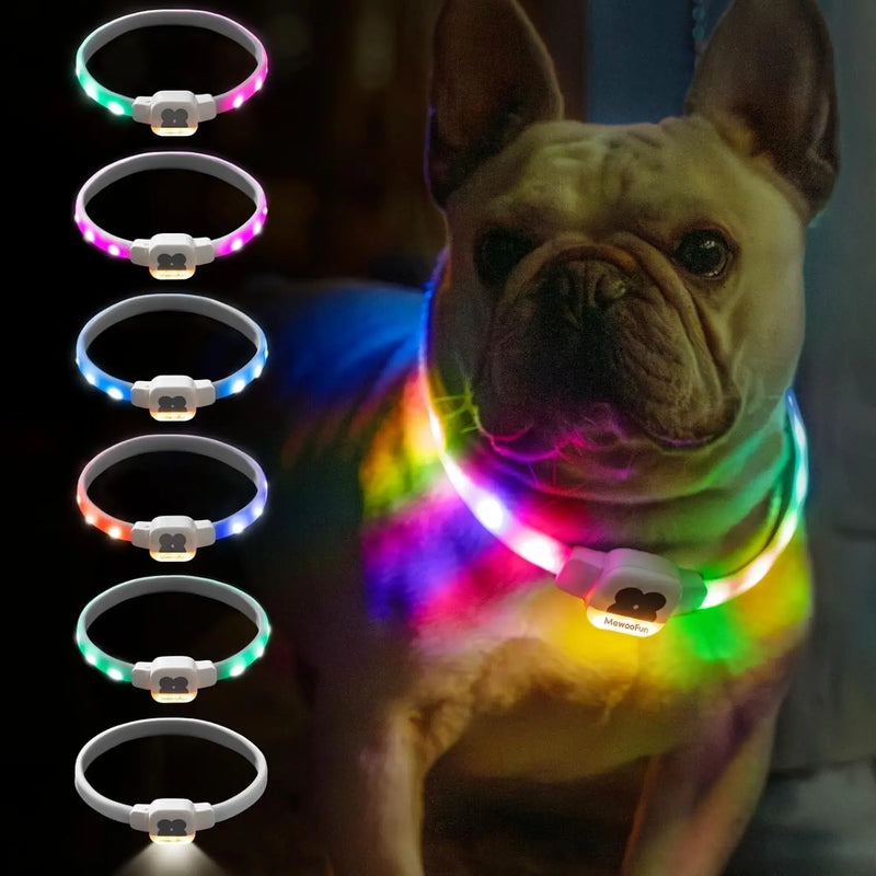 LED Dog Collar: USB Rechargeable, Waterproof, and 6 Flashing Modes